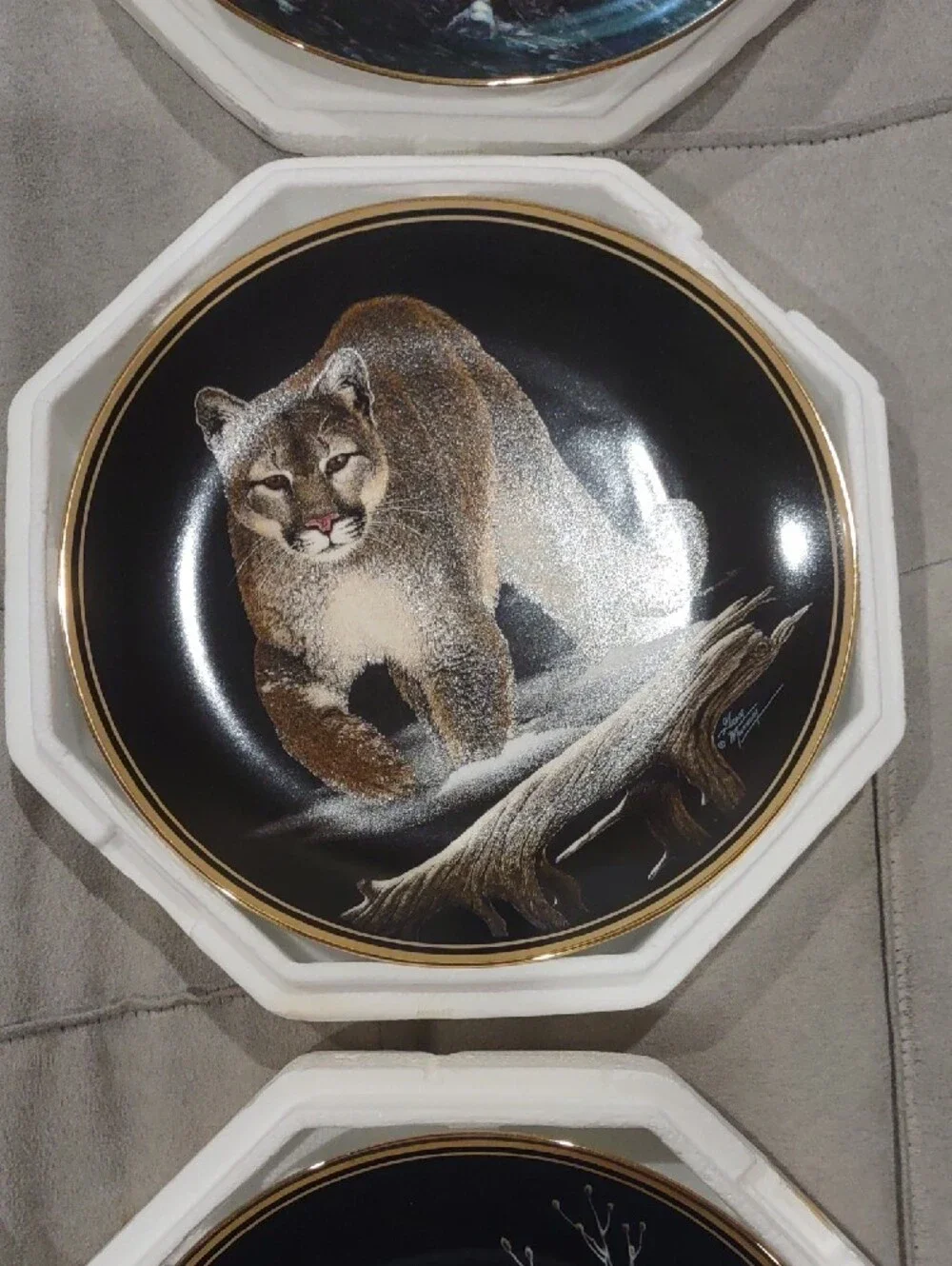 Wildlife Decorative Plates Cat Designs Charles Frace